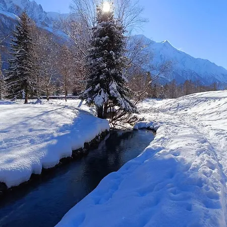 Апартаменты Montblanc 1 A 4 Personnes