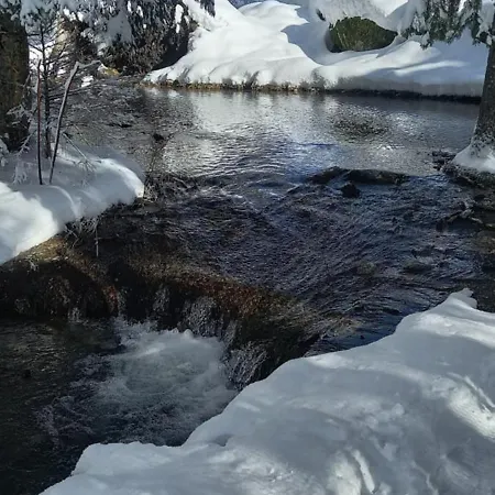 Montblanc 1 A 4 Personnes Апартаменты Шамони