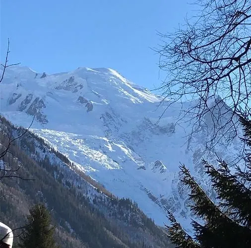 Montblanc 1 A 4 Personnes Apartment *