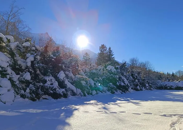 Апартаменти Montblanc 1 A 4 Personnes *