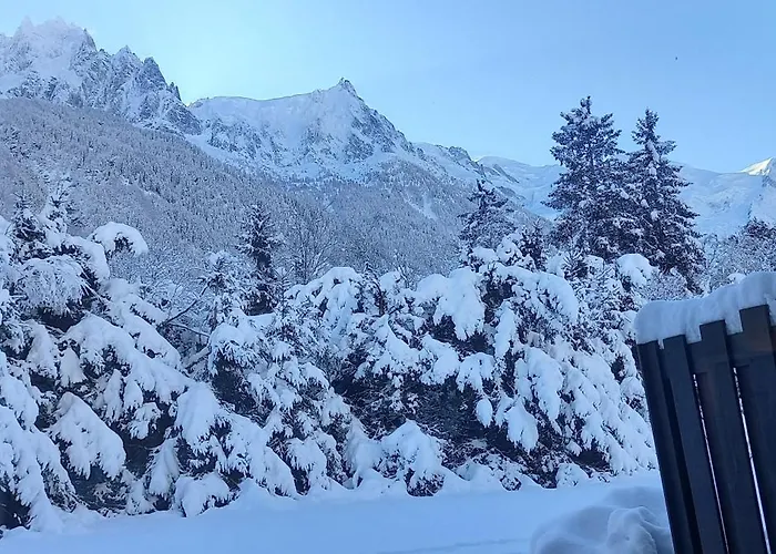 Apartment Montblanc 1 A 4 Personnes