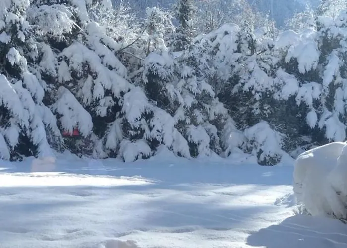 Montblanc 1 A 4 Personnes Apartment Chamonix